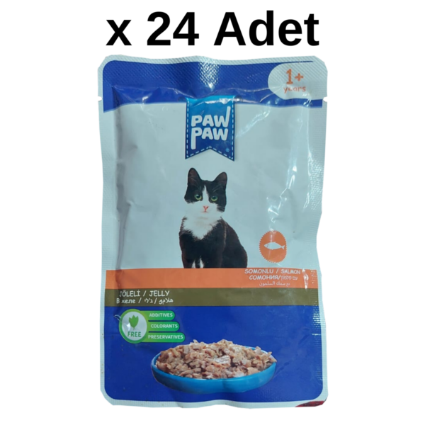 Paw Paw Jöle İçinde Somonlu Yaş Kedi Maması 85 gr x 24 Adet